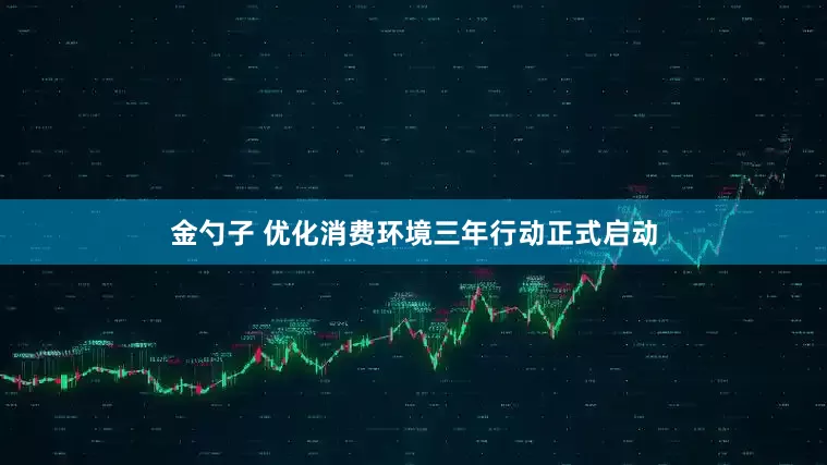 金勺子 优化消费环境三年行动正式启动