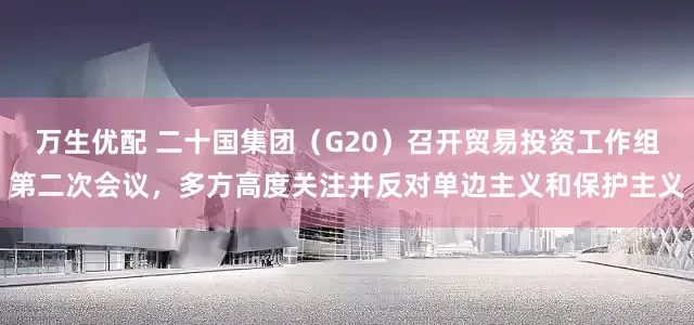 万生优配 二十国集团（G20）召开贸易投资工作组第二次会议，多方高度关注并反对单边主义和保护主义