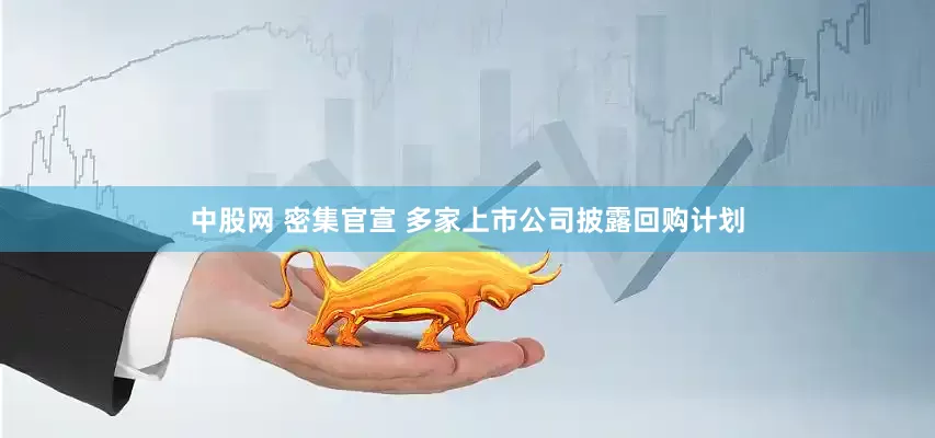 中股网 密集官宣 多家上市公司披露回购计划
