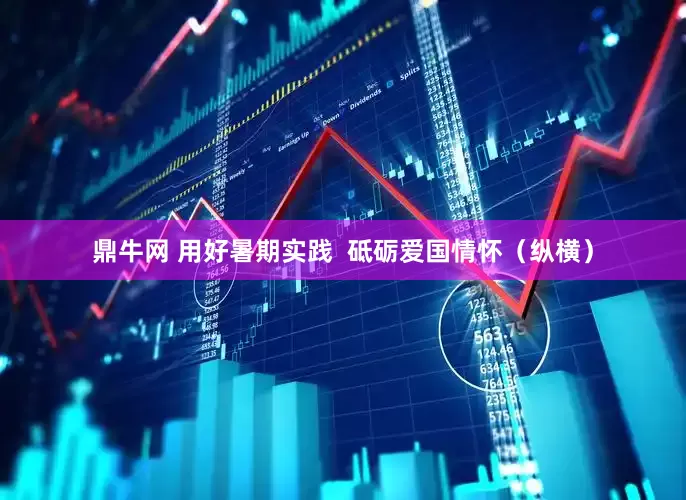 鼎牛网 用好暑期实践  砥砺爱国情怀（纵横）