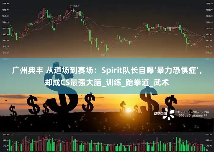 广州典丰 从道场到赛场：Spirit队长自曝‘暴力恐惧症’，却成CS最强大脑_训练_跆拳道_武术