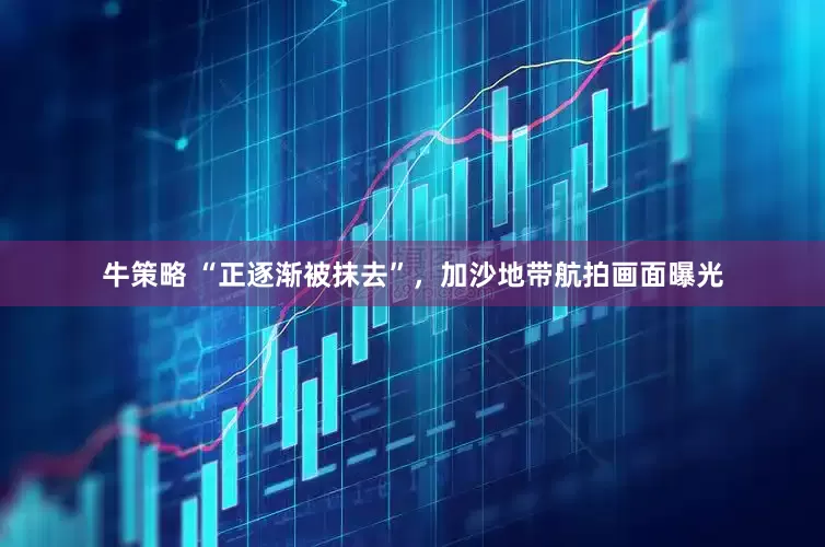 牛策略 “正逐渐被抹去”，加沙地带航拍画面曝光