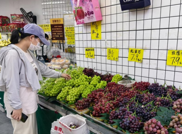 宝盈国际 阳光玫瑰因何跌成“地板价”？